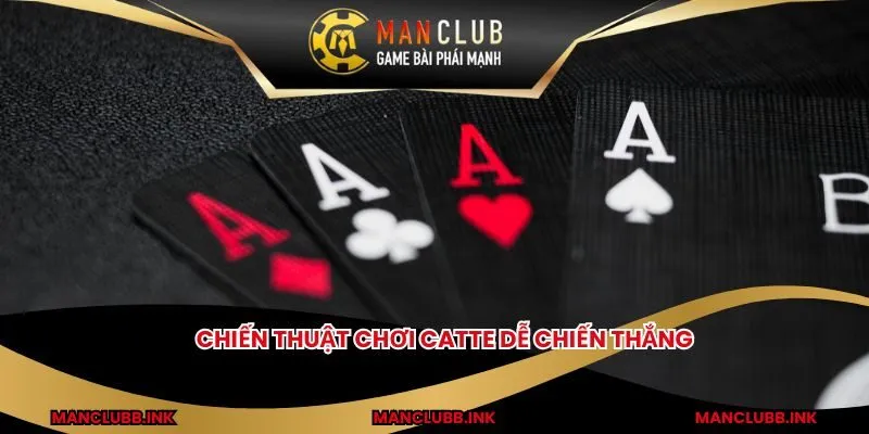 Chiến thuật chơi Catte dễ chiến thắng